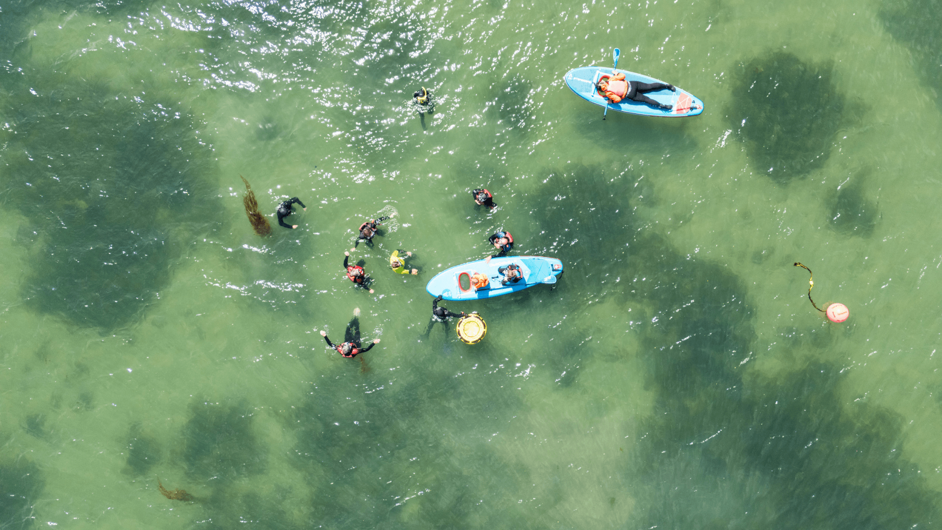 A drone shot of paddleboards exploring the seagrass in Dale.