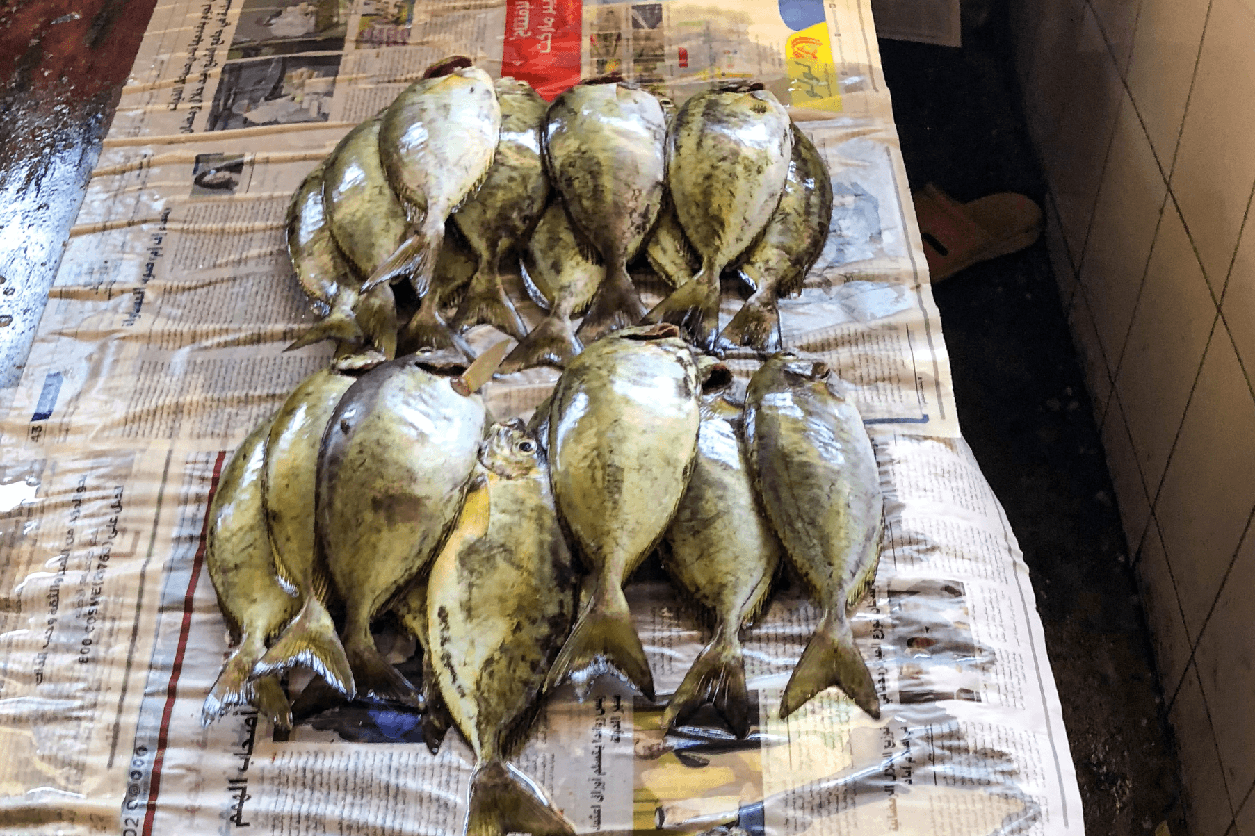 Rabbitfish laid out on newspaper in a market.