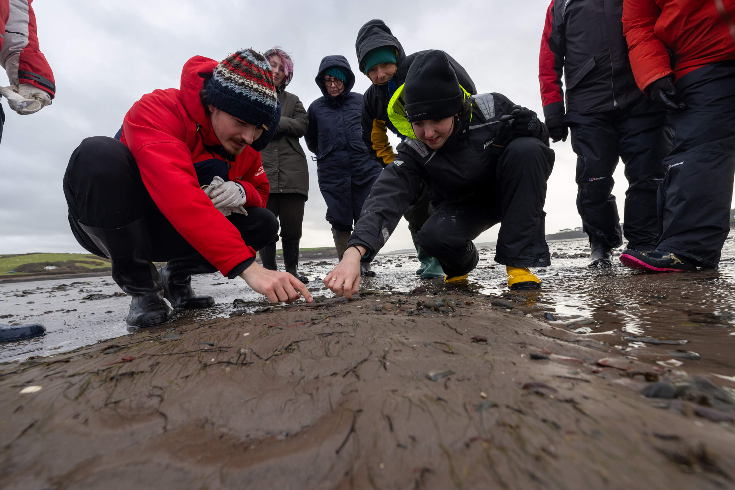 A group of volunteers are gathered around seagrass in Dale.