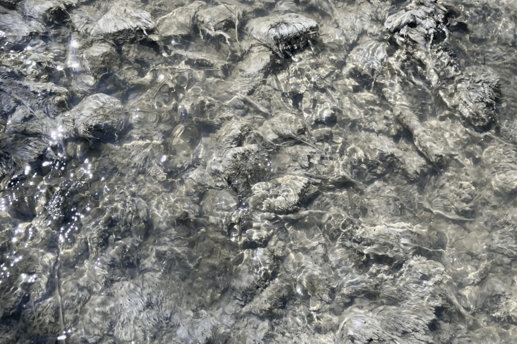 Sewage sludge in the Afon Cynffig Kenfig River