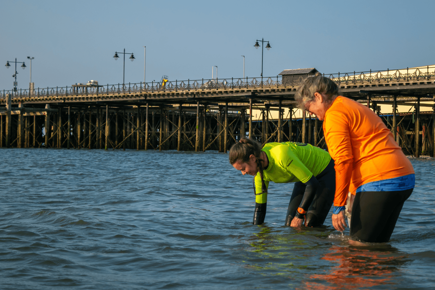 Anouska is bending down to collect a seagrass seed under the water in Ryde. A volunteer stands close by observing.