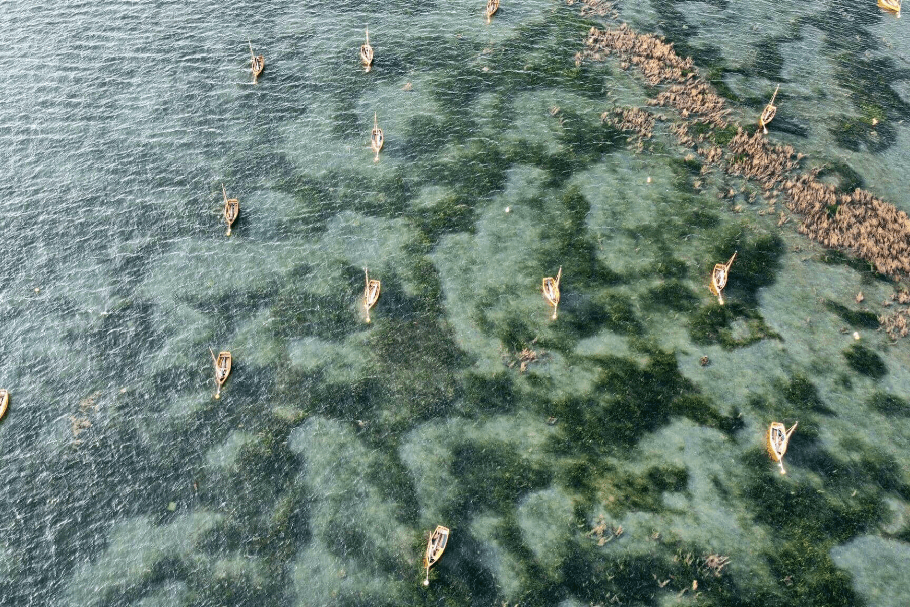 Drone imagery depicting mooring scars within seagrass meadow