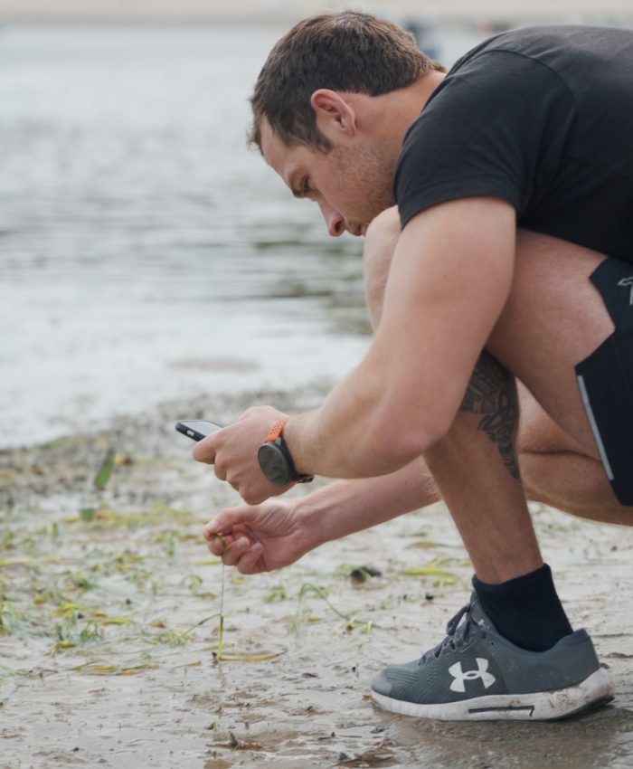 Seagrass app inspires a rise in citizen science across the globe