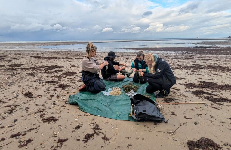 A group of volunteers are seated on the beach preparing fragments for planting on a fragment walk